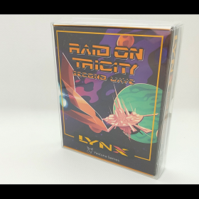 Raid on TriCity: Second Wave